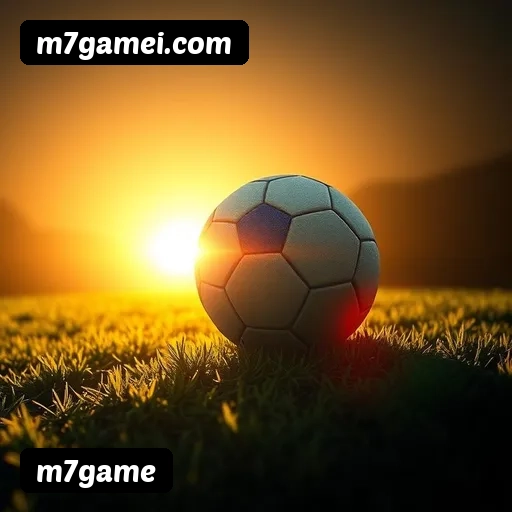 Níveis do programa VIP da m7game